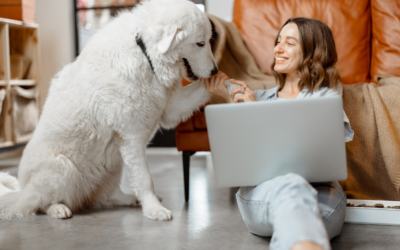 Renting with Pets: A Comprehensive Guide for Pet Owners